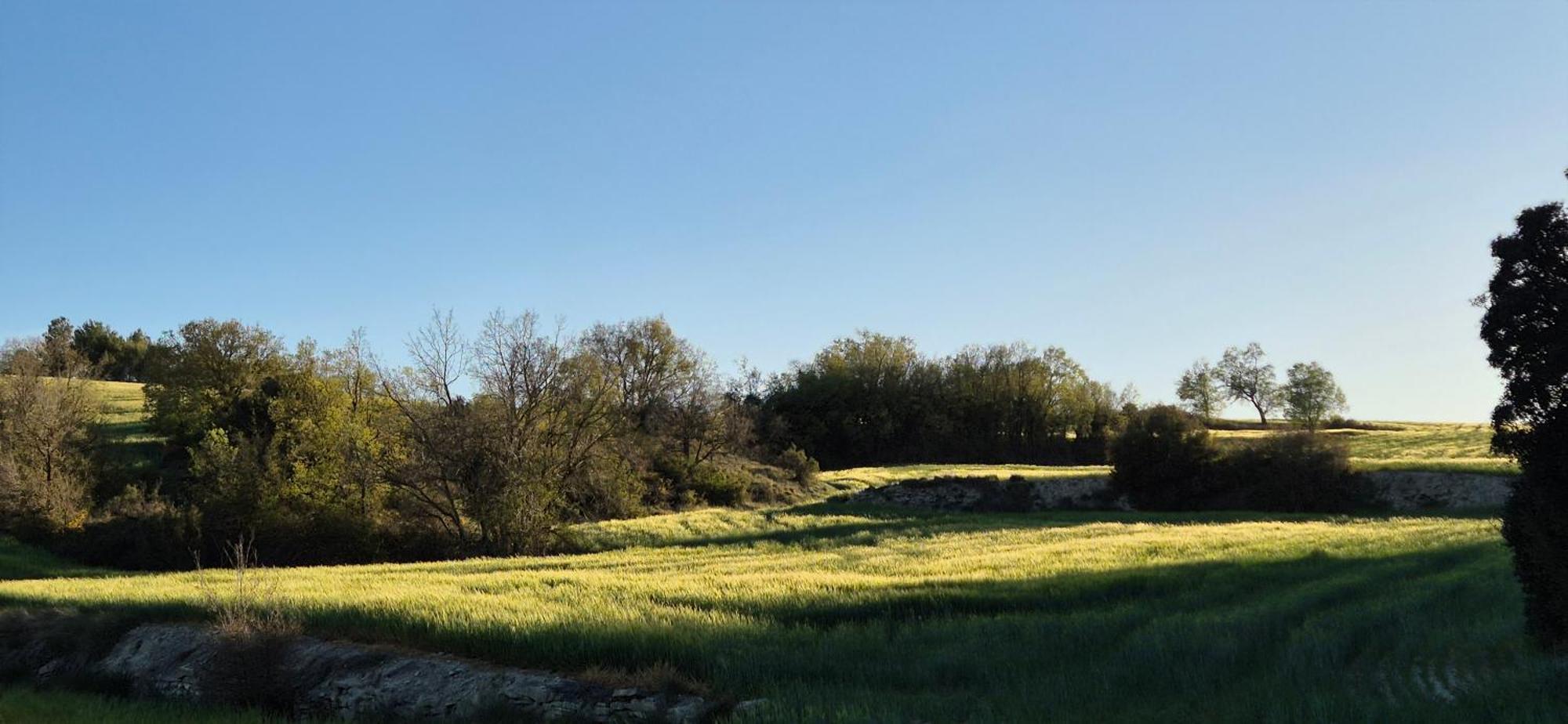 Can Gasol Turisme Rural Guialmons Exterior foto
